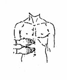 Одна рука лежит на нижней части ребер, вторая – сразу ниже первой (правая сторона тела).